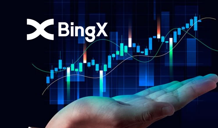BingX交易所教学与评价