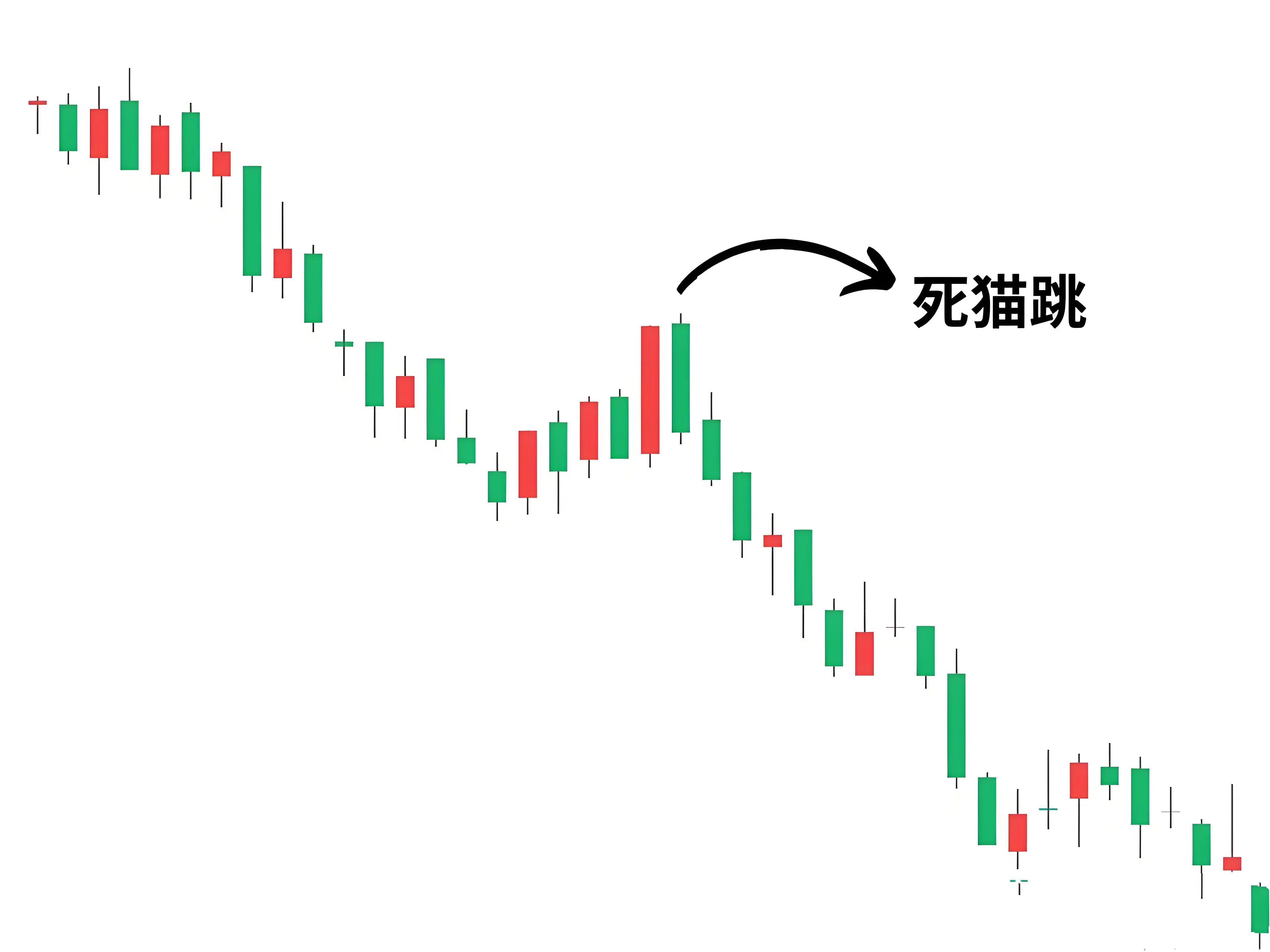 什么是死猫反弹?
