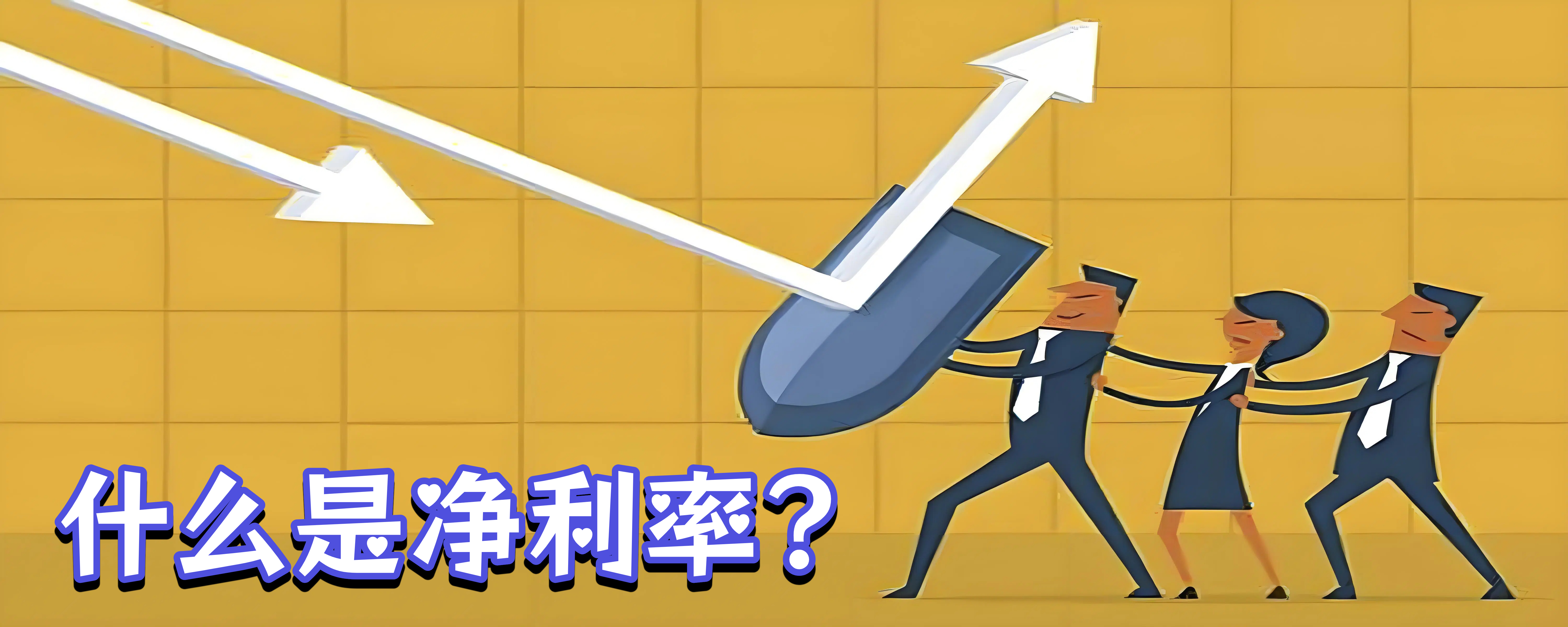 什么是净利率?