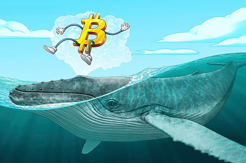 如何在 BIT加密货币交易所 注册帐户