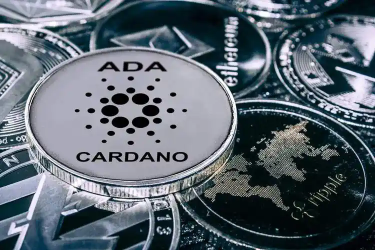什么是 Cardano?