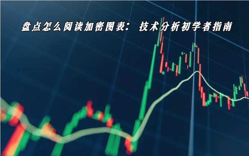 盘点怎么阅读加密图表：技术分析初学者指南