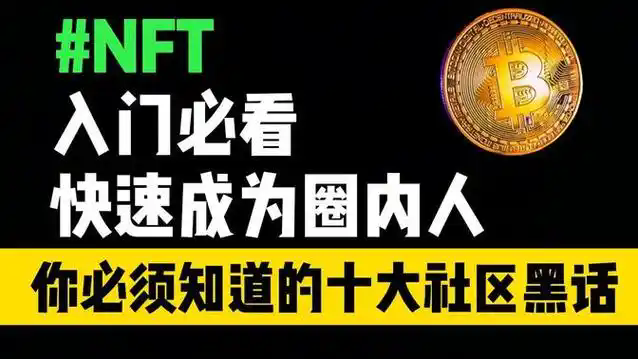 终极 NFT 术语表：收藏者应该了解的所有术语