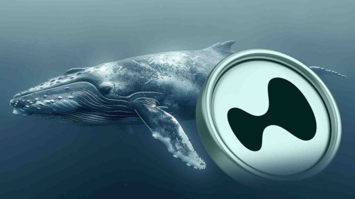 Hyperliquid巨鲸风云录：有人一夜翻身，有人死于执念