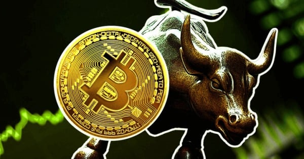 为什么交易者在下一个牛市中押注于毫无价值的资产