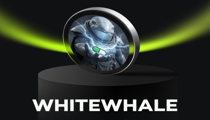 White Whale：一个“必死”Meme币，如何在30天完成500倍逆袭?