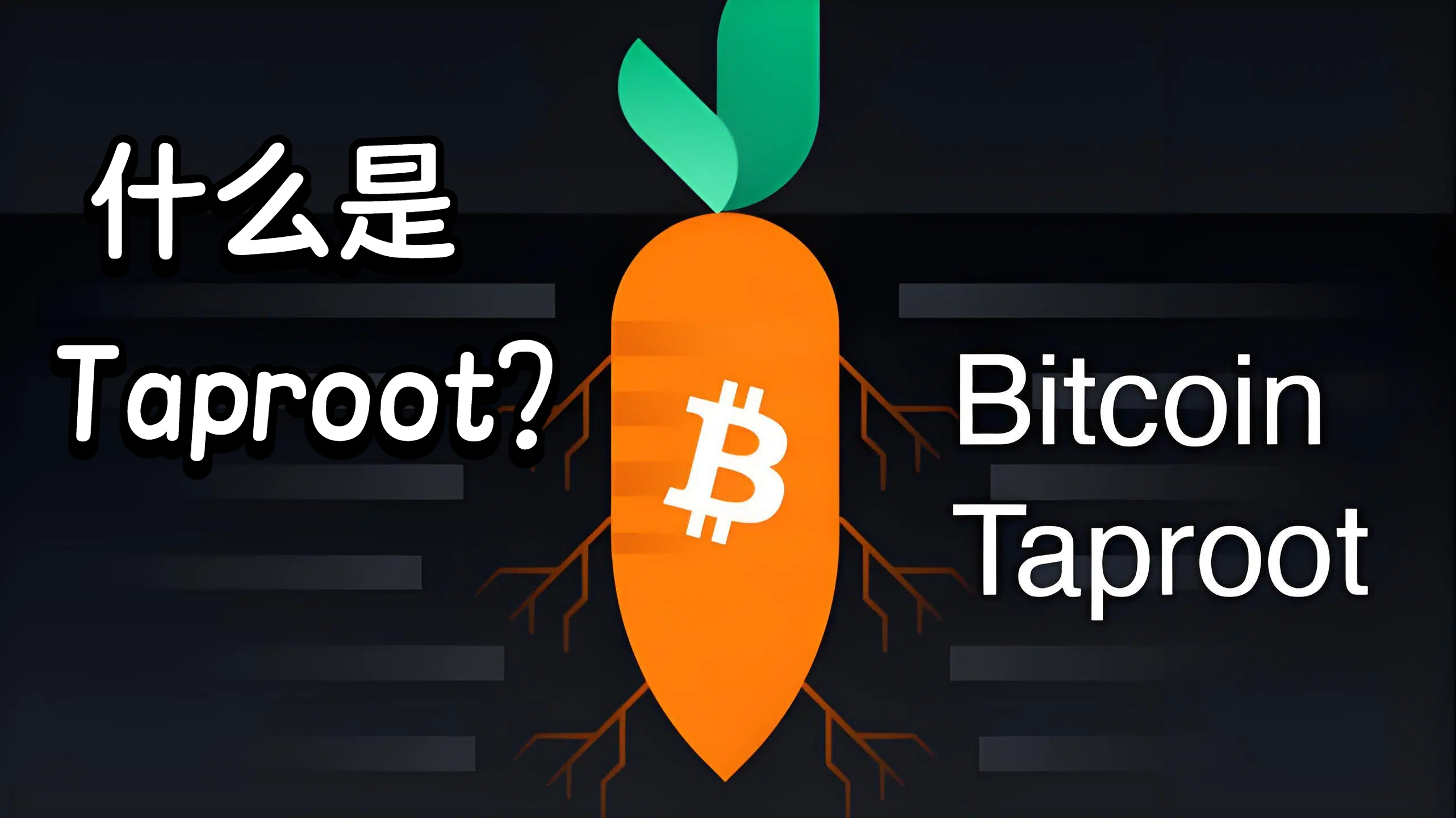 什么是 Taproot?