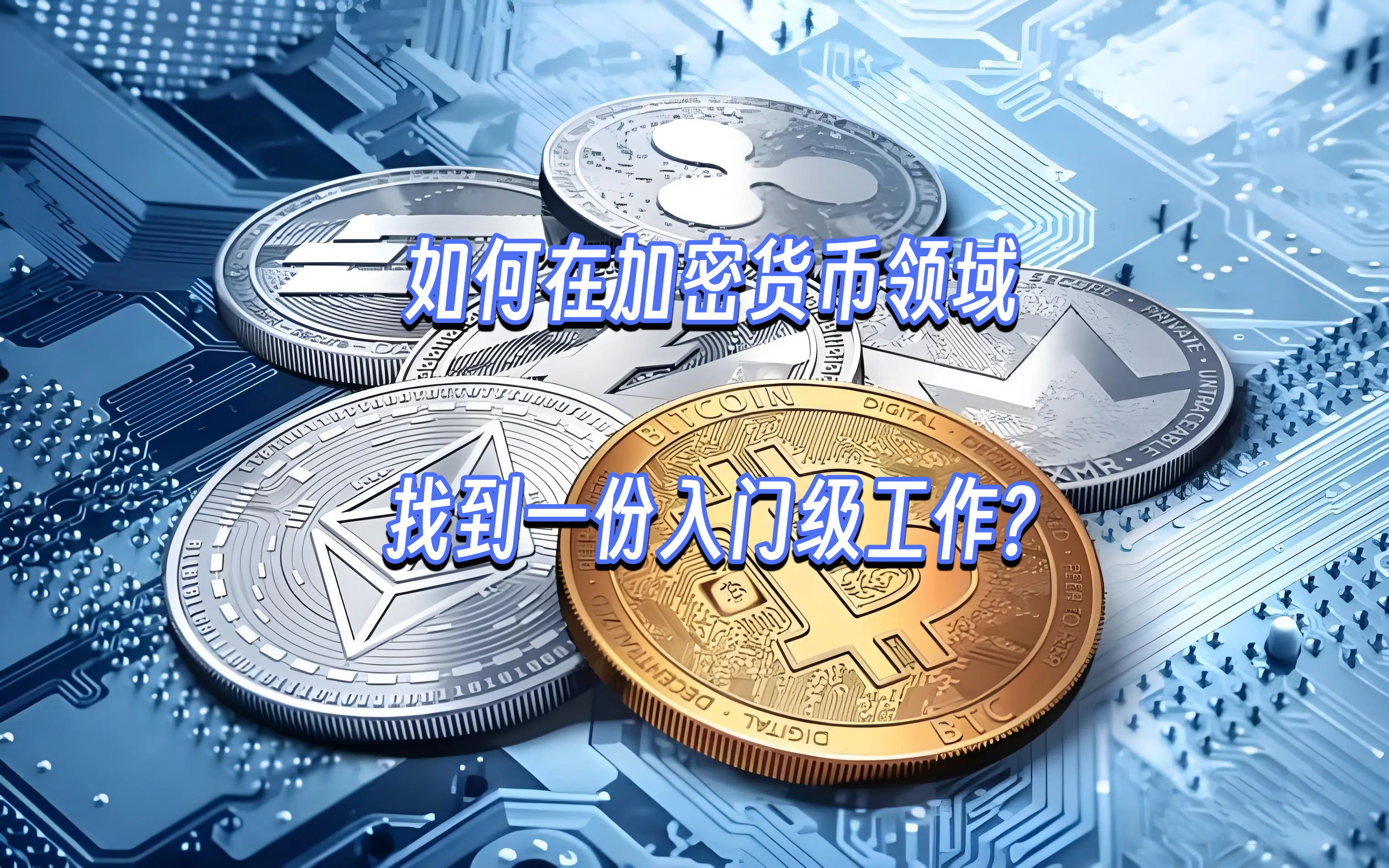 如何在加密货币领域找到一份入门级工作?