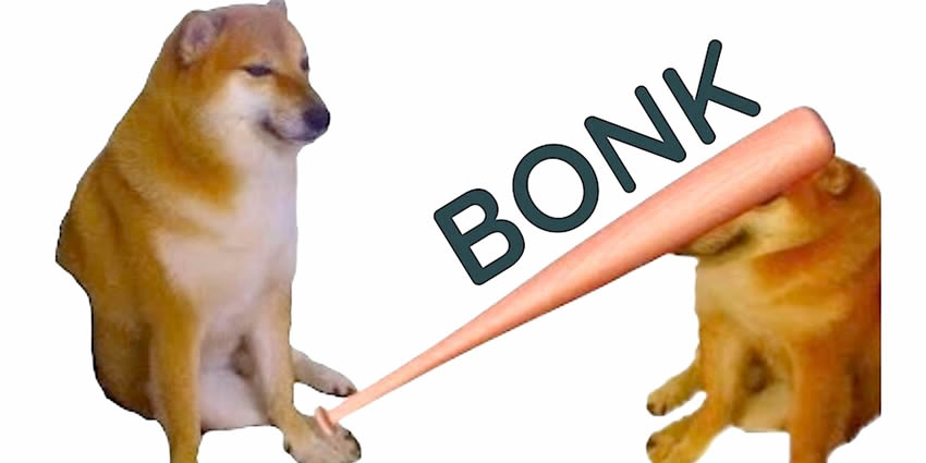 Bonk是什么币种?Bonk币未来价格走势如何?