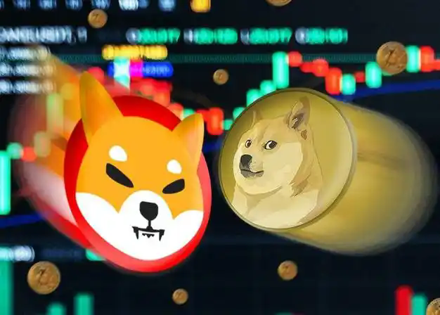 狗狗币完全指南