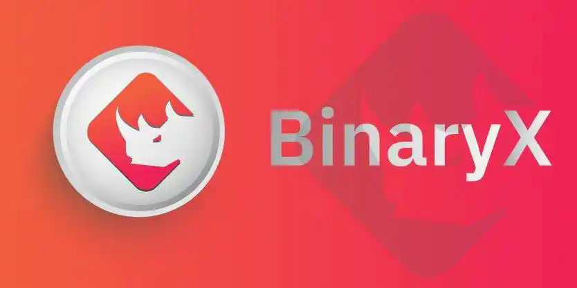 有多少BinaryX(BNX)代币在流通?BinaryX代币($BNX)价格是多少?