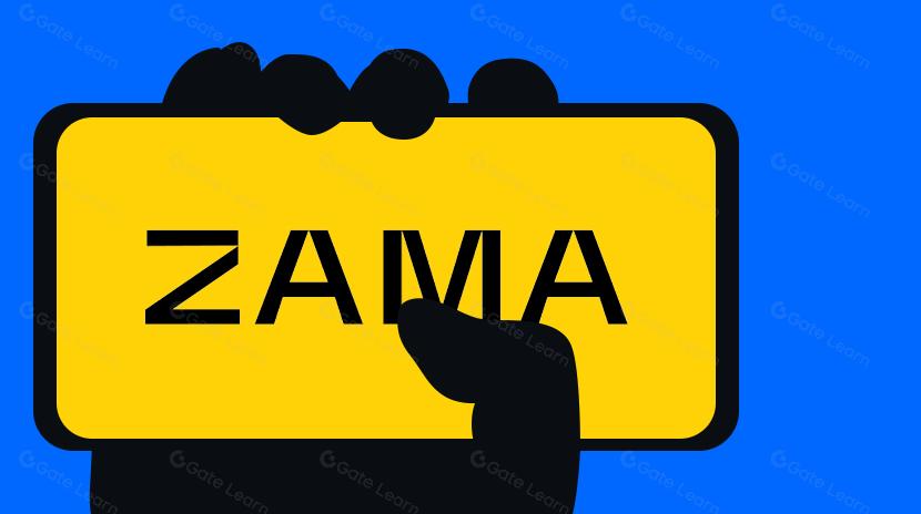 FHE协议Zama即将发币！一文读懂Zama机制和生态