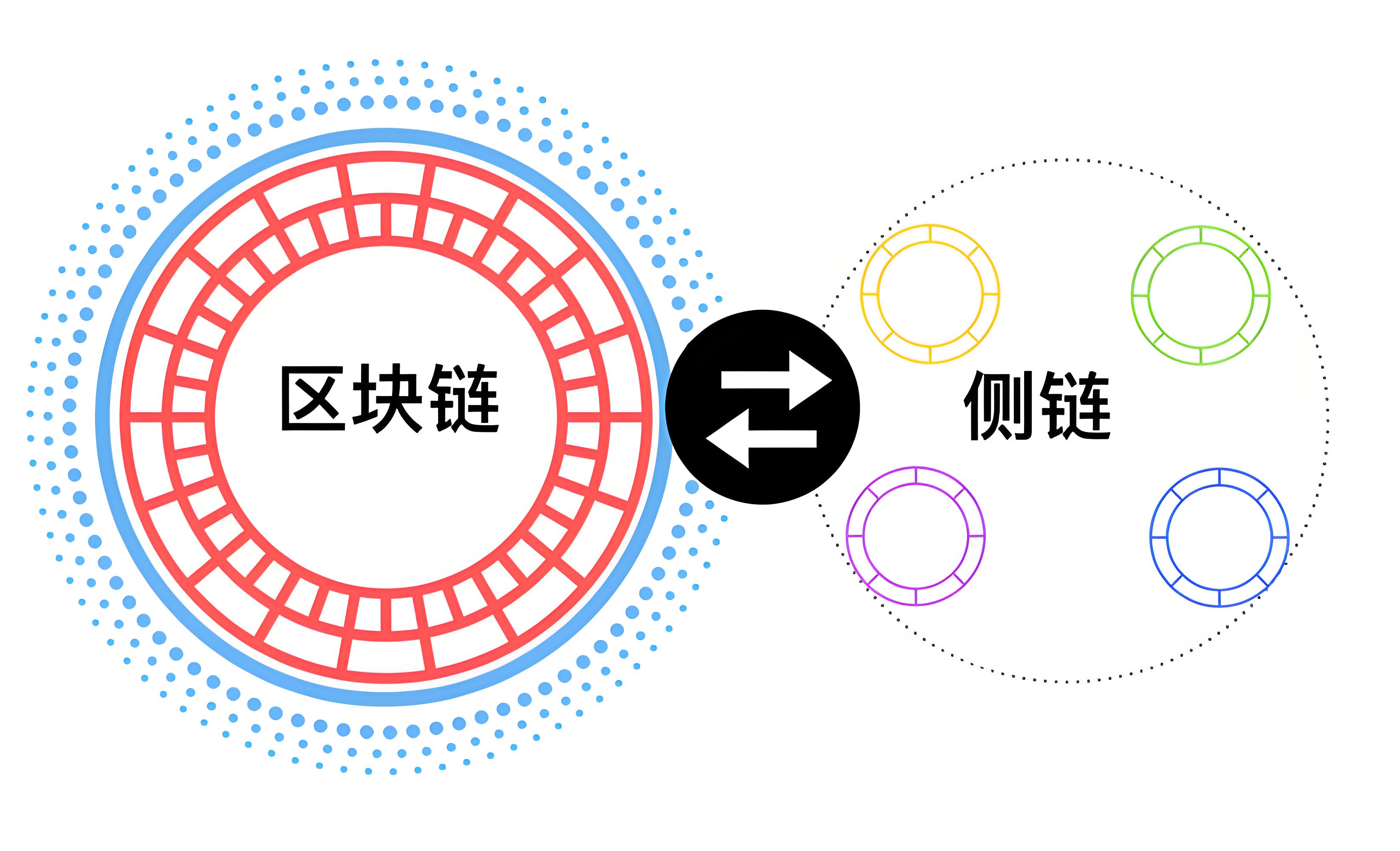 什么是侧链？