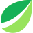 Bitfinex