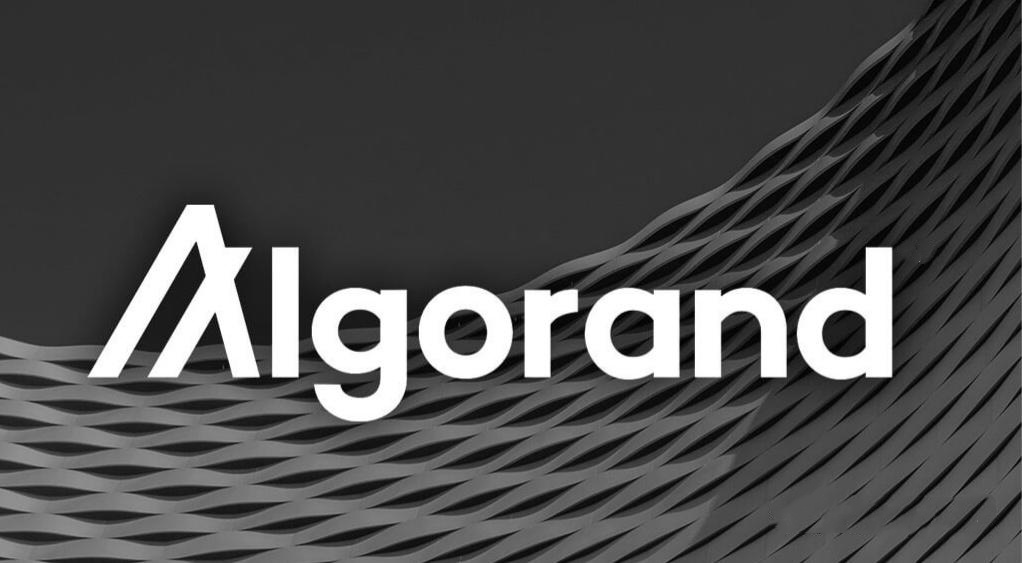 Algo生态系统：如何在Algorand上发币