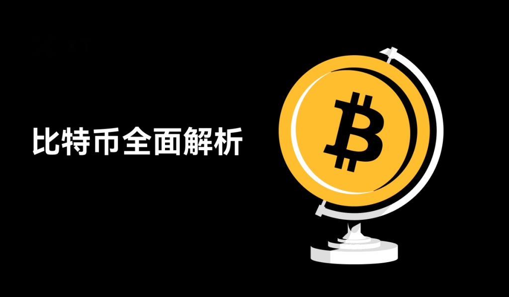 比特币完全指南：从入门到进阶