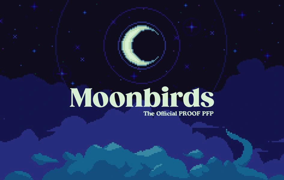 什么是Moonbirds NFT?以太坊猫头鹰NFT指南