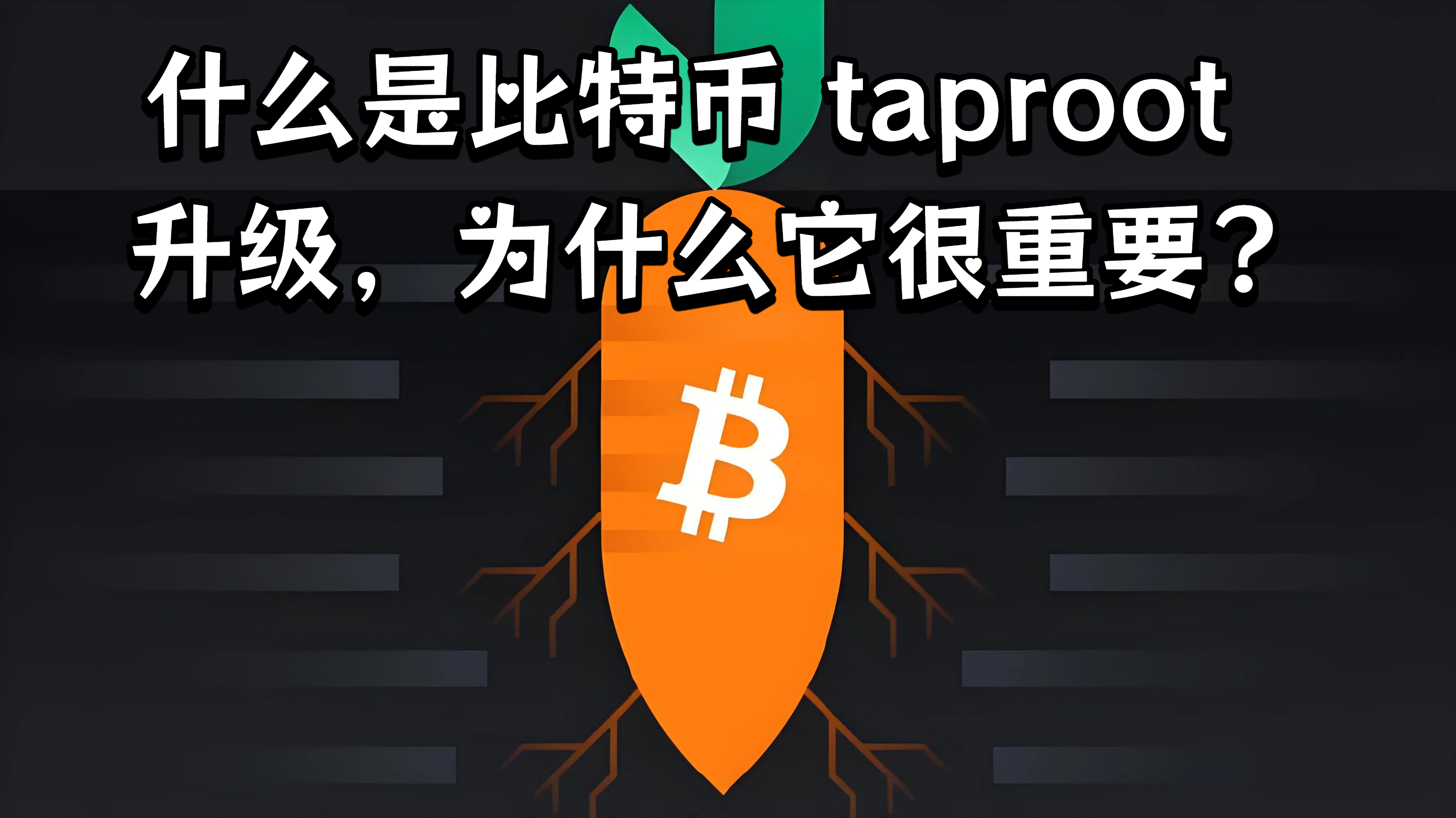 什么是比特币 taproot 升级，为什么它很重要?