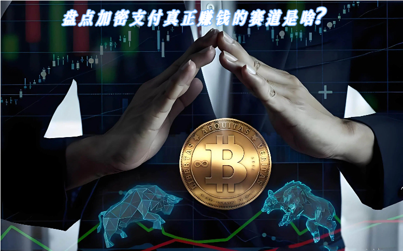 盘点加密支付真正赚钱的赛道是啥？