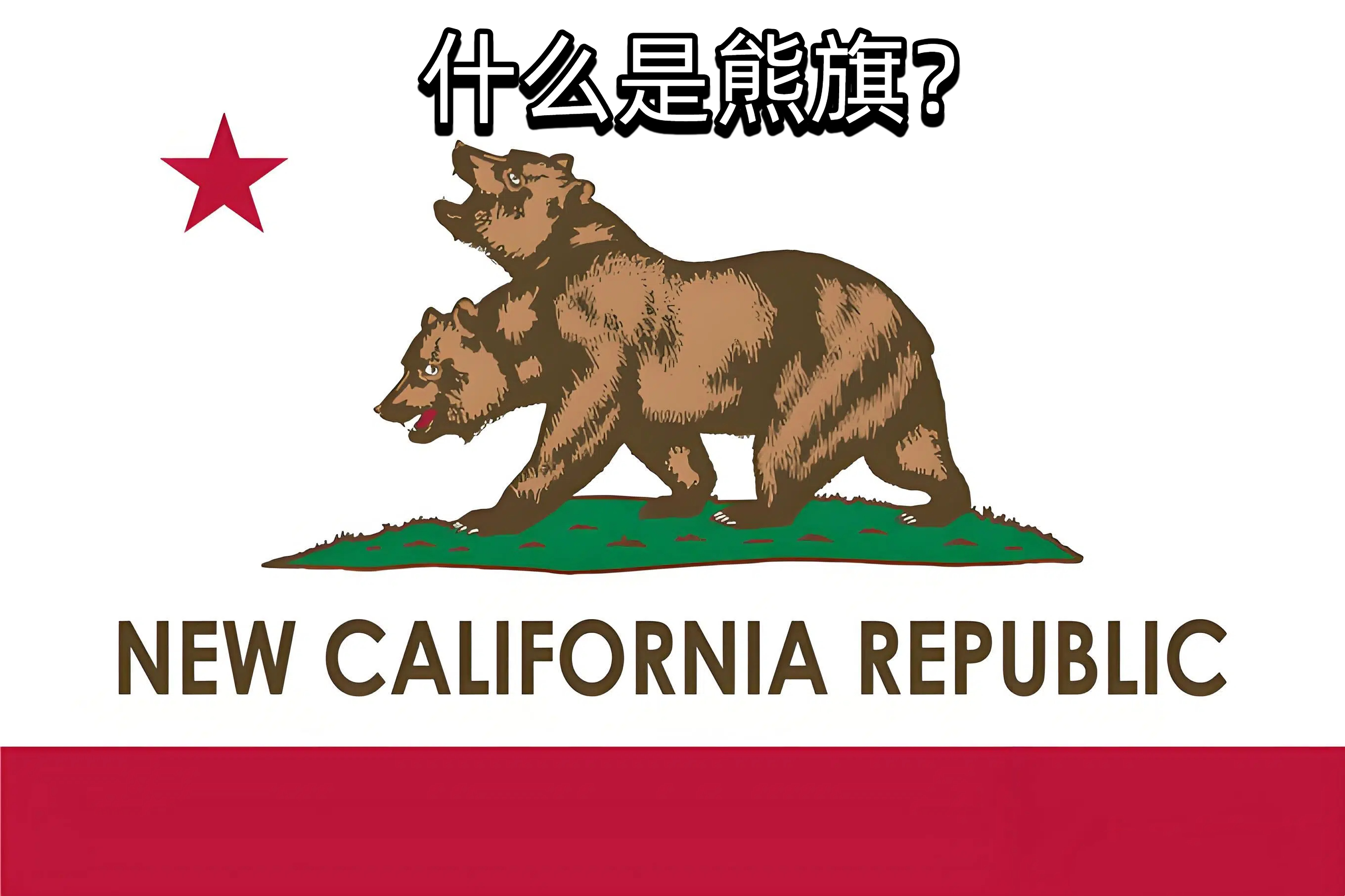 什么是熊旗？