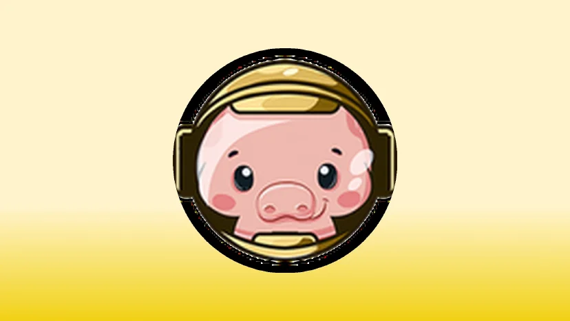 pig币是什么币种？pig币深度解析