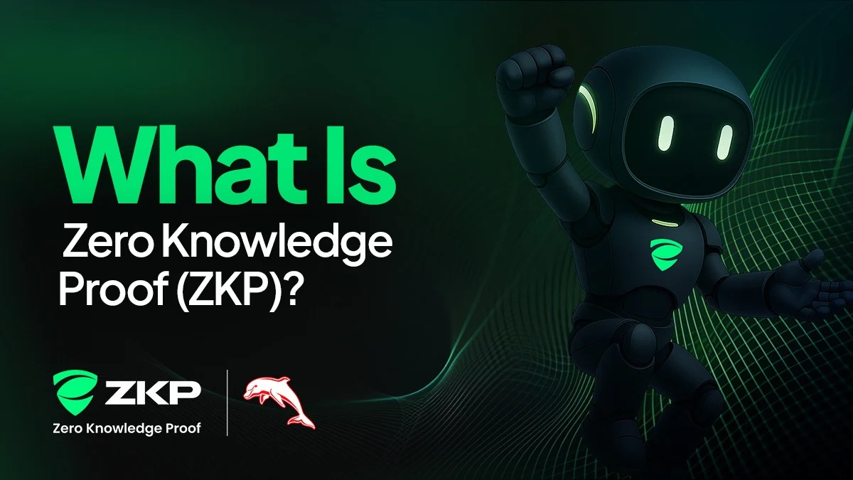 零知识证明Zero Knowledge Proof(ZKP)介绍