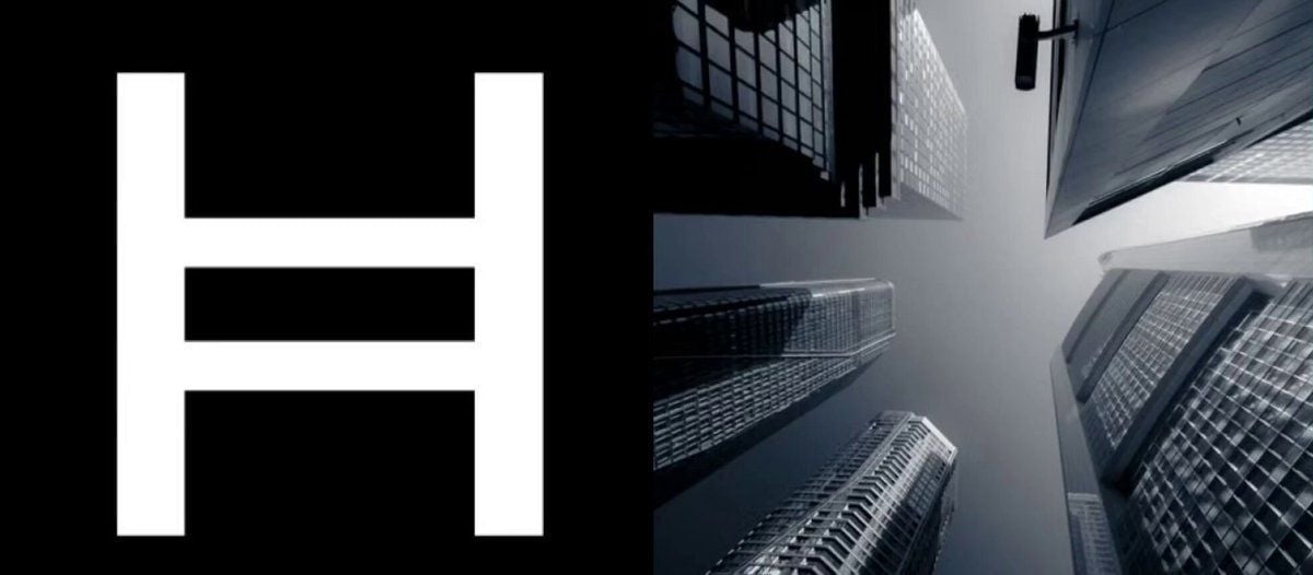 唯一现货Hedera ETF资金流入创5月15日以来最大单日纪录！