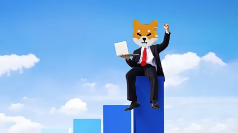 Shiba Inu在窄幅交易区间内与K大户钱包集中度展开博弈