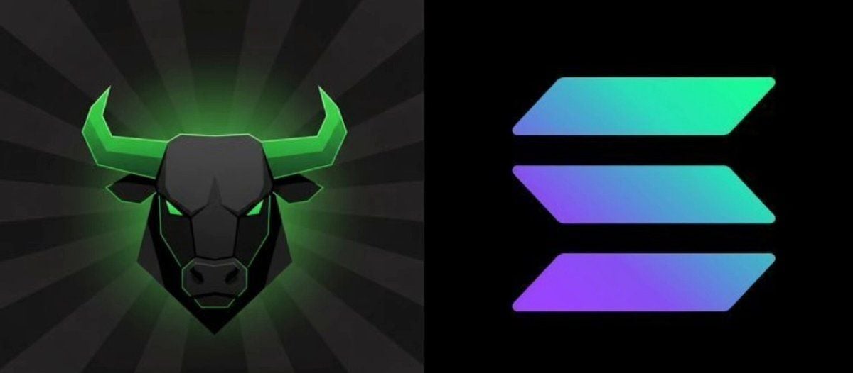 $ANSEM Memecoin 过去一周飙升近5倍 —— @BlackBullSol 领涨Solana Memecoin