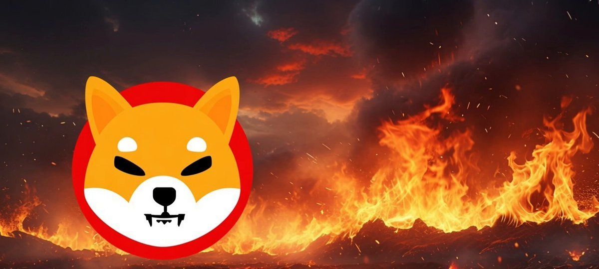 柴犬币销毁量创一个月新高