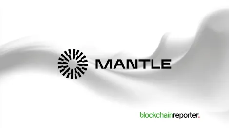 山寨币波动中，Lighter与Mantle鲸鱼交易量激增至六个月高点