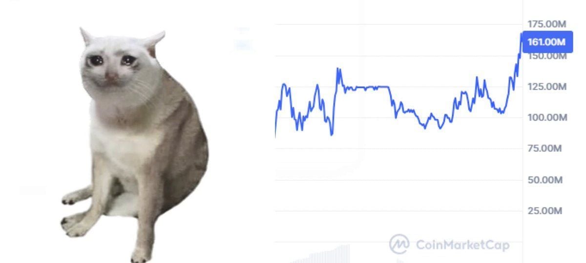 Cash Cat\'s market value soared to $150 million