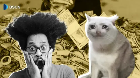 什么是Cash Cat Memecoin？