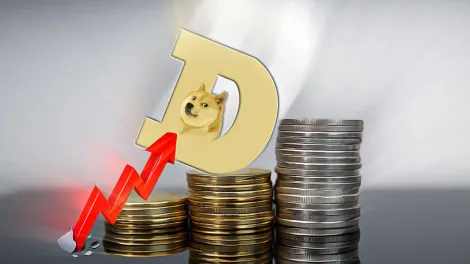 狗狗币的韧性:关键水平成焦点
