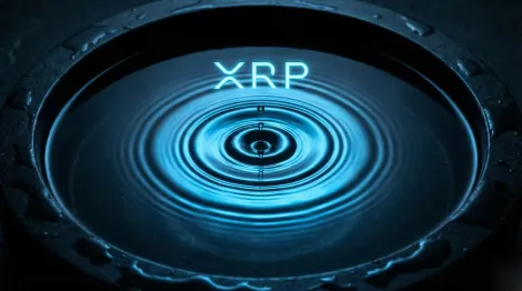 加密货币分析师Bird：XRP历经18个月盘整，即将迎来快速突破