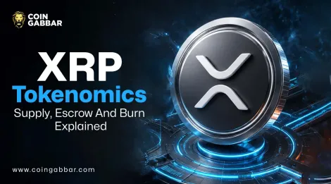 XRP托管与XRP代币经济学：供应、销毁与持有