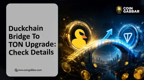 DuckChain 桥接 TON 截止日期临近：$DUCK 迁移全攻略