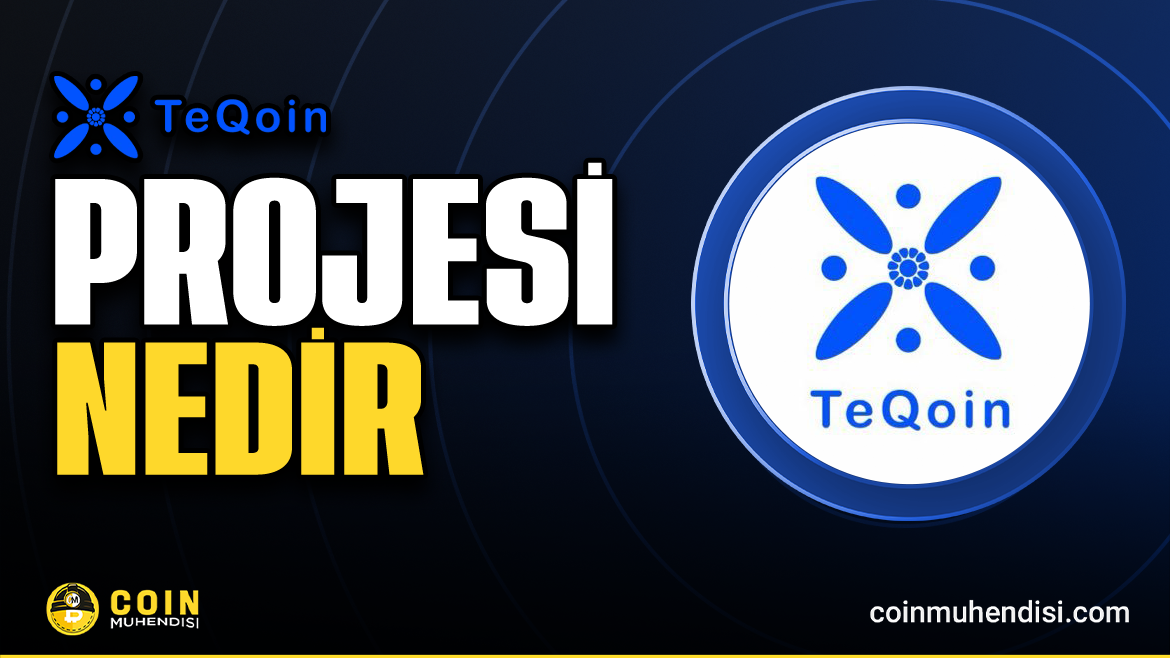 什么是TeQoin (TEQOIN)？