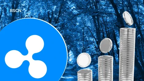 Ripple Mint是什么？