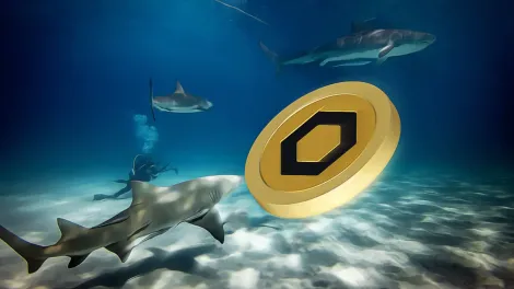 价格压力下 Chainlink 在加密市场的战略布局