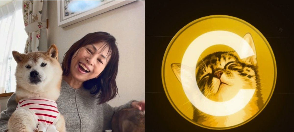 狗狗币所有者与CATE代币划清界限
