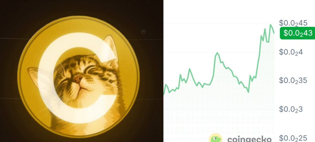 Solana Memecoin CATE 病毒式传播后飙升25%