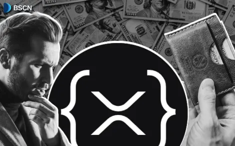 2026年XRP账本自托管钱包四强推荐