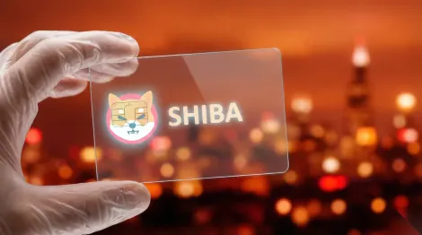 柴犬币一周销毁29.6亿枚SHIB,创年内最大周销毁量