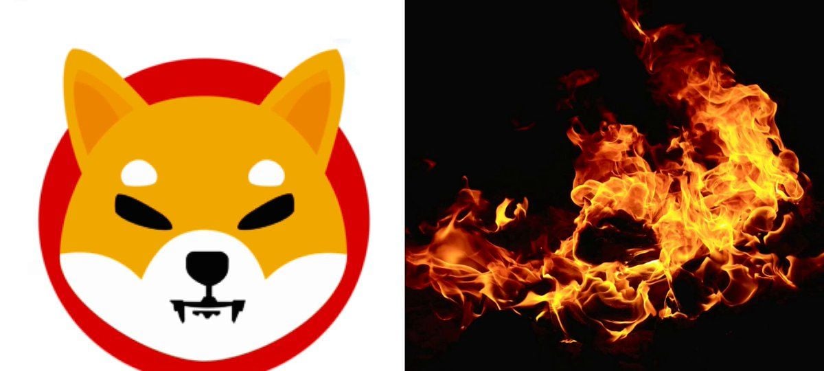 柴犬币周销毁量创一年新高