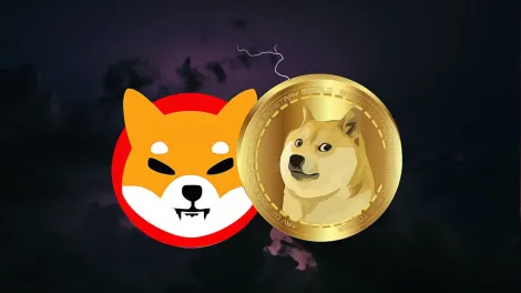 柴犬币价格无视看跌信号，逆势上扬于交易所净流量变化之际