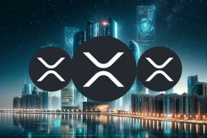 Xaman创始人Wietse Wind向XRP持有者发出重大警告