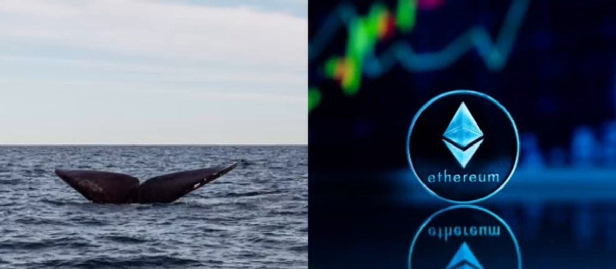 After three years of silence, the giant whale of Ethereum sells its positions
