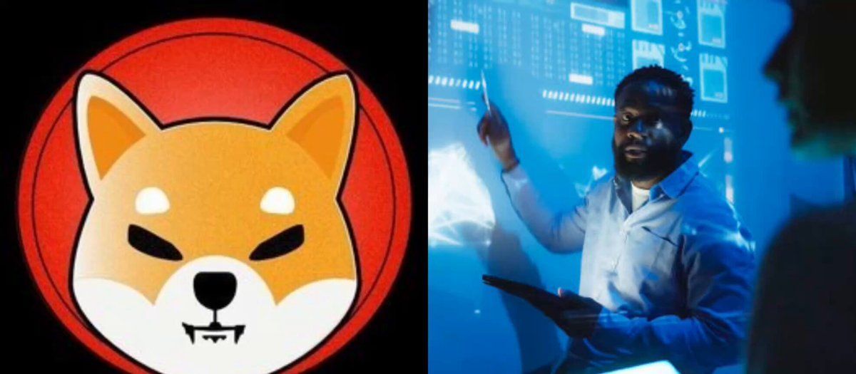 The market value of SHIB is not the whole picture