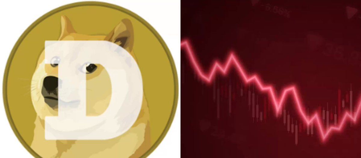 Is the end of dog coins here?